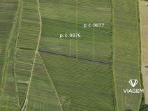 Prodej podílu pole, Javorník, 2058 m2