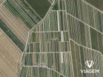 Prodej podílu pole, Moravský Žižkov, 1427 m2