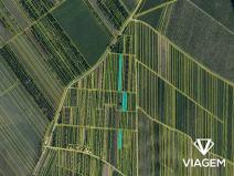 Prodej podílu pole, Moravský Žižkov, 1427 m2