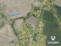 Prodej pole, Zlatníky-Hodkovice, 5571 m2