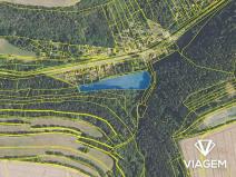 Prodej pole, Lašovice, 7881 m2