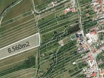 Prodej pole, Slavkov, 8560 m2