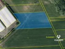 Prodej pole, Víceměřice, 5054 m2
