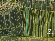 Prodej pole, Kněždub, 6694 m2