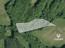 Prodej podílu lesa, Velký Ořechov, 1567 m2
