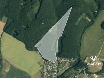 Prodej podílu lesa, Fryšták, 5483 m2