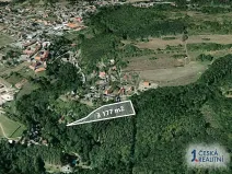 Prodej lesa, Sýkořice, 3177 m2