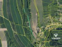 Prodej lesa, Košťálov, 5619 m2