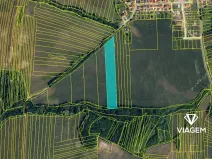 Prodej podílu pole, Ivančice, 474 m2