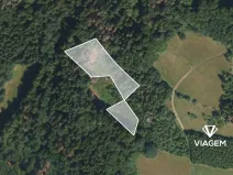 Prodej lesa, Železný Brod, 1564 m2