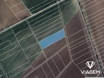 Prodej podílu pole, Třibřichy, 381 m2