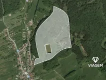 Prodej podílu lesa, Šanov, 2700 m2