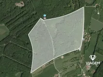 Prodej podílu lesa, Šanov, 2432 m2