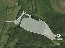 Prodej podílu lesa, Bojkovice, 647 m2