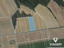 Prodej podílu pole, Horšovský Týn, 1559 m2