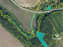 Prodej podílu lesa, Horní Řepčice, 3511 m2