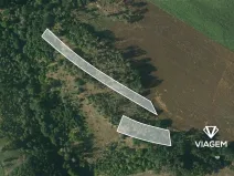 Prodej lesa, Čikov, 2239 m2