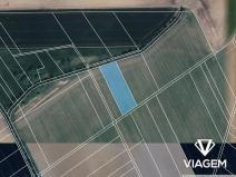 Prodej podílu pole, Pňovice, 350 m2