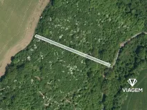 Prodej lesa, Březolupy, 1255 m2