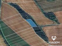 Prodej podílu pole, Nedachlebice, 437 m2