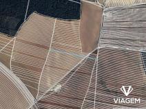 Prodej pole, Dolní Bojanovice, 3004 m2