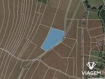 Prodej podílu pole, Jankovice, 3981 m2