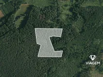 Prodej podílu lesa, Volyně, 1219 m2