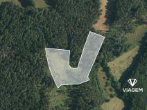 Prodej podílu lesa, Volyně, 2075 m2