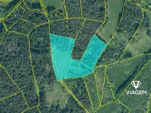 Prodej podílu lesa, Volyně, 2075 m2