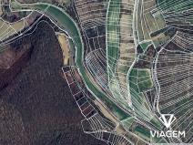 Prodej podílu pole, Ždánice, 433 m2