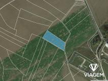 Prodej podílu pole, Blanné, 1260 m2