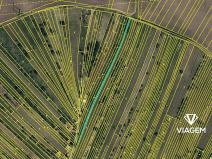 Prodej podílu sadu/vinice, Mutěnice, 511 m2