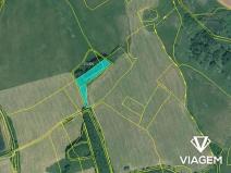 Prodej pole, Pšov, 4281 m2