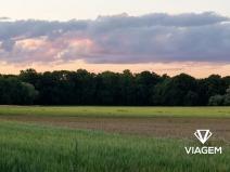 Prodej podílu pole, Střemošice, 1822 m2