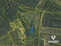 Prodej lesa, Vlkančice, 2326 m2