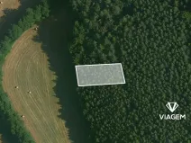 Prodej lesa, Vlkančice, 611 m2