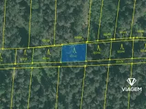 Prodej lesa, Hradiště, 2874 m2