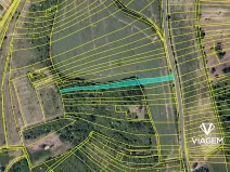 Prodej podílu pole, Ždánice, 931 m2