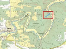 Prodej podílu lesa, Baliny, 3334 m2