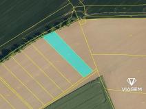 Prodej lesa, Bernartice nad Odrou, 2271 m2