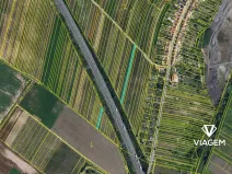 Prodej pole, Kostice, 1963 m2