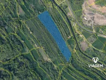 Prodej lesa, Malá Veleň, 37048 m2