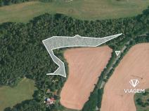 Prodej podílu lesa, Čím, 2849 m2