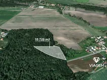 Prodej podílu lesa, Dašice, 5360 m2