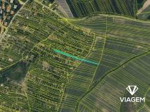 Prodej zahrady, Kyjov, 2282 m2