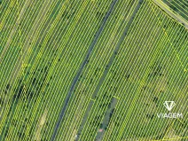 Prodej podílu zahrady, Dubňany, 471 m2