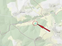 Prodej podílu lesa, Žlutava, 2234 m2