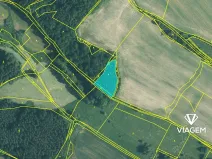 Prodej podílu lesa, Líšťany, 1029 m2