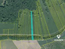 Prodej podílu pole, Korytná, 1383 m2