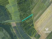 Prodej lesa, Silůvky, 3372 m2